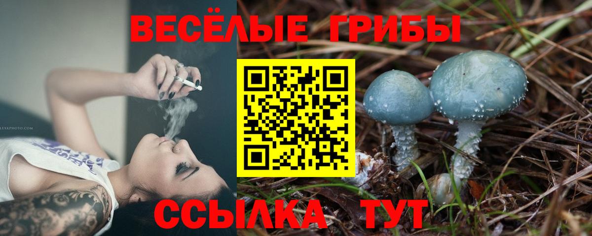 Псилоцибиновые грибы Psilocybe  Вход с VPN  Галлюциногенные грибы Psilocybe  Углич 
